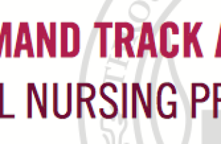 High-demand track added to doctoral nursing program